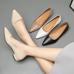 Pointed Toe Shallow Mouth Square Heel Small Leather Shoes