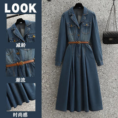 Plus Size Women's Jeans Dresses French Style Denim