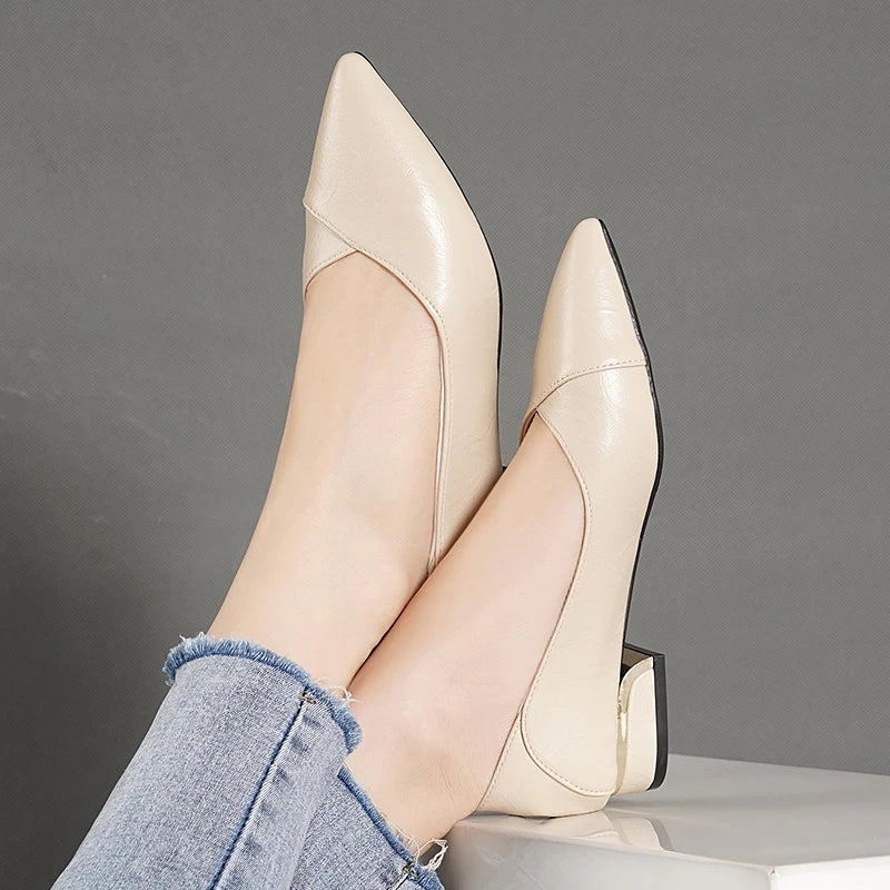 Single Shoes Thick Heel Pointed Toe Shallow All-match