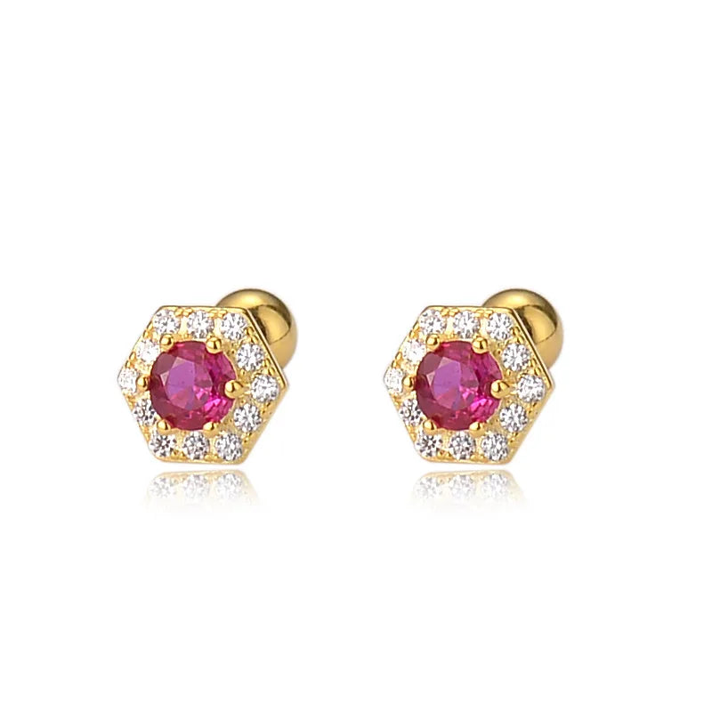 Zircon Stud Earrings for Women  Fashion Exquisite Jewelry Gifts