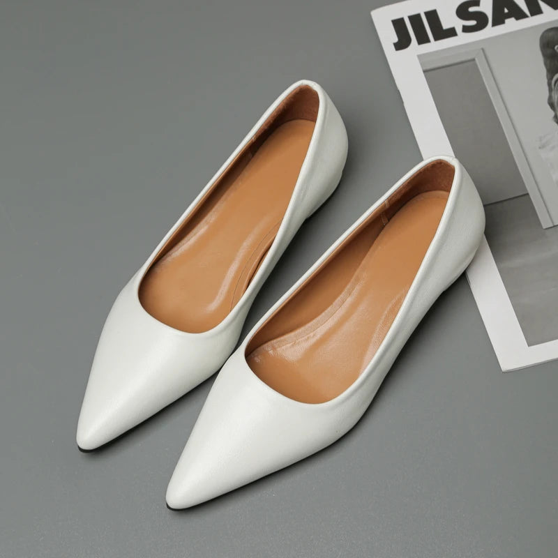 Pointed Toe Shallow Mouth Square Heel Small Leather Shoes