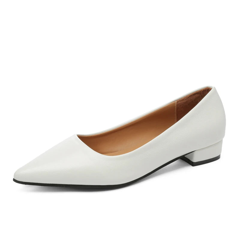 Pointed Toe Shallow Mouth Square Heel Small Leather Shoes