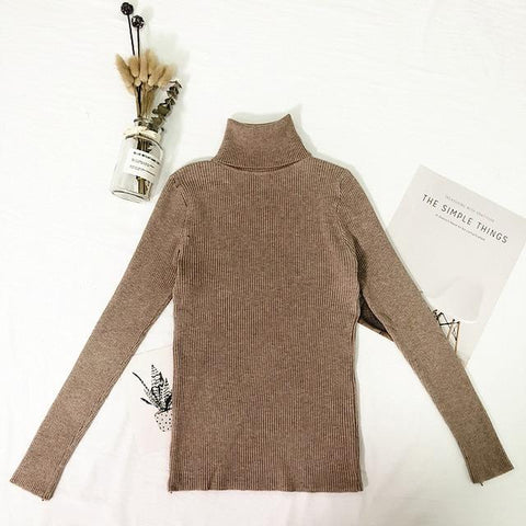 Basic Thin Turtleneck Knitted Sweater