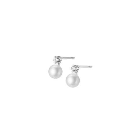 Genuine Zircon Pearl Mini Small Stud Earrings
